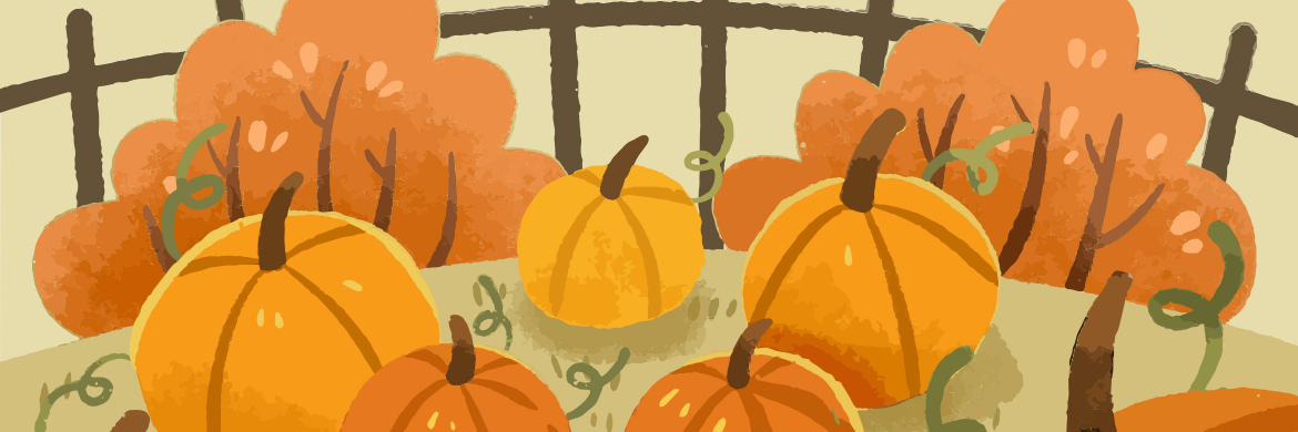 field of pumpkins 