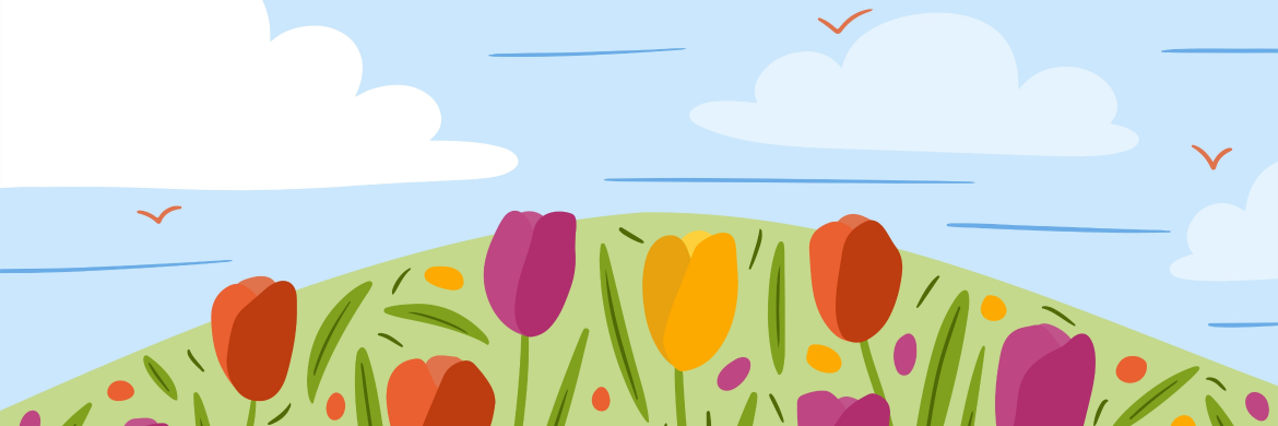 Field of tulips under blue sky